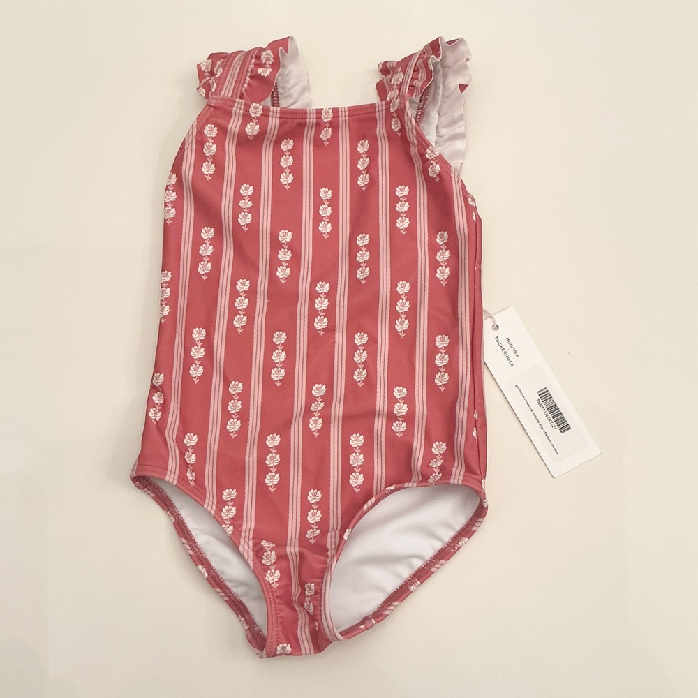 Minnow Swim